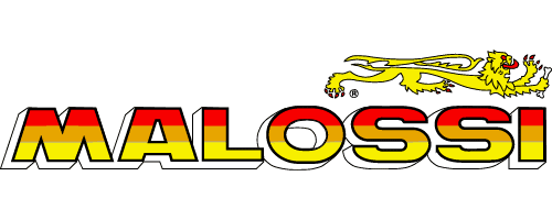 Logo Malossi