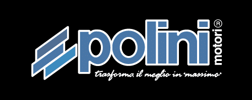 Logo Polini